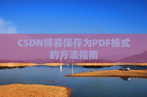 CSDN博客保存为PDF格式的方法指南